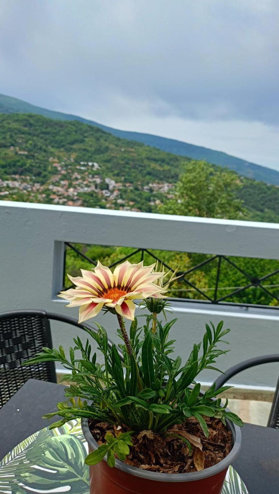 Guesthouse Kallisti Anilio Pelion Exterior foto